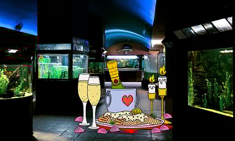 Festeja el amor con una cena romántica en el acuario del Zoo de Morelia