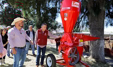 Prioritario fortalecer al sector ganadero: Luis Navarro