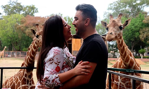 Parejas unen sus vidas en el Zoo de Morelia con las jirafas como testigos