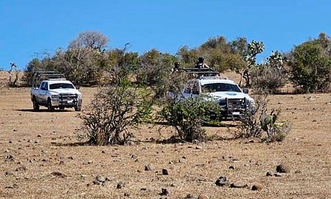 Homicidio doloso en México baja 44%; febrero marca el nivel más bajo en años