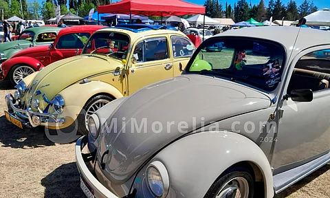 Alrededor de 500 vehículos de diversas partes del país participan en Las Cruces Fest