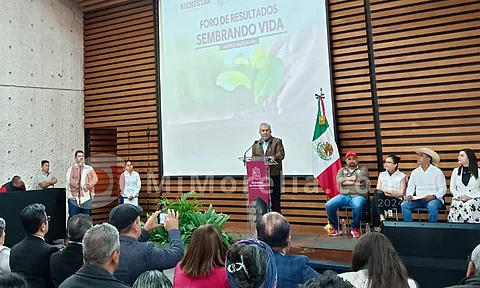 Gobernador pide ampliar programa Sembrando Vida en Michoacán