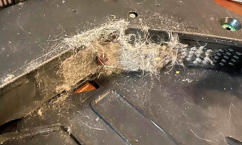 ¿Un ratón? hombre abre su PS5 por sobrecalentamiento y se lleva una sorpresa