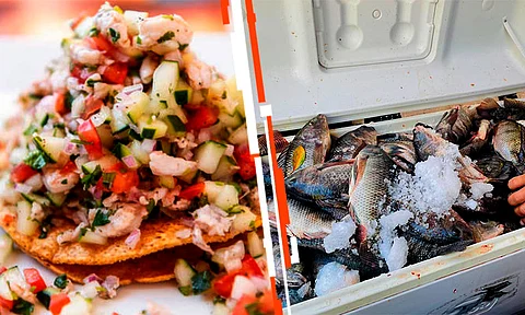 Consume pescados y mariscos frescos para evitar infecciones o intoxicaciones alimentarias