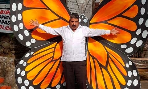 Ambulante reveló este miércoles el primer avance de la programación de la Gira 2024