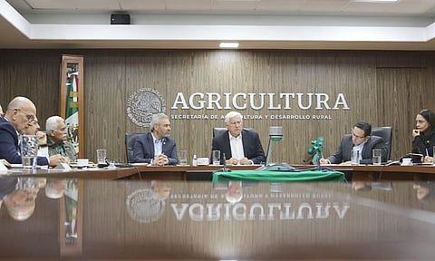 Bedolla y Sader trazan ruta para la certificación y regulación ambiental del aguacate