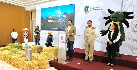 DIF Michoacán invita a los talleres artísticos y culturales