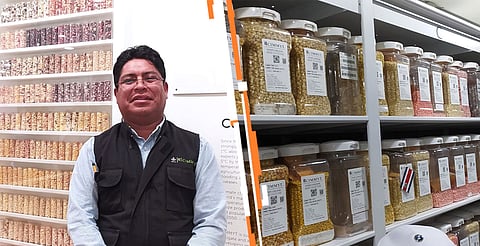 Existen plantas que no son resistentes a la sequía