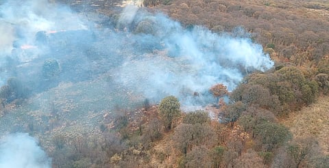 Por tierra y aire se combate incendio forestal en el cerro del Águila