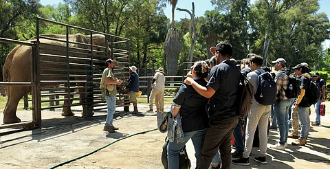 Por período vacacional esperan más de 30 mil visitantes en el Zoo de Morelia