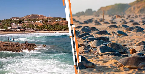 Michoacán y 12 maravillosas playas te esperan esta Semana Santa