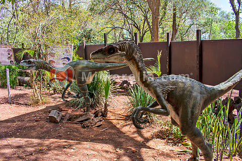 Exhibición "Saurika" Guarida de Dinosaurios en el MUHNA