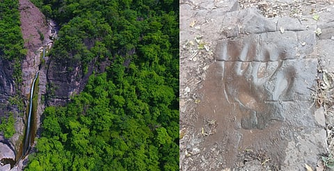 Hay huellas de dinosaurio cerca de cascada en Michoacán, dicen