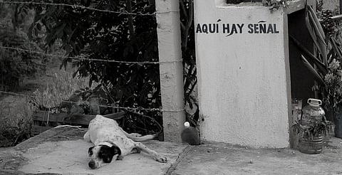 Se proyectarán sin costo dos cintas de Juan Carlos Rulfo, este viernes en Morelia