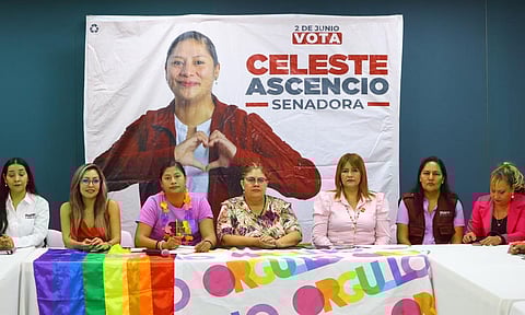 Sería Celeste la senadora más joven que ha tenido Michoacán