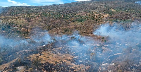 Brigadistas atienden 6 incendios forestales en Michoacán