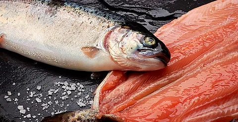 El viernes, último día de venta de pescados y mariscos en módulos de Compesca en Morelia
