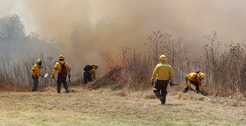 Reporta Cofom 8 incendios en Michoacán