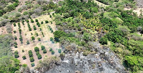 Combatientes apagan incendio forestal en Chinicuila y controlan 5 más