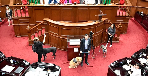 Congreso de Michoacán aprueba regulación para el uso de pirotecnia