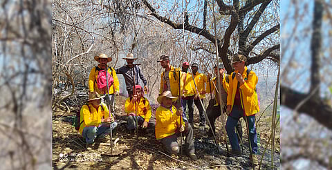 Michoacán: brigadistas apagan 7 incendios