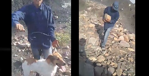 Chavos avientan a perrita a pozo y luego le lanzan piedras, en Guanajuato