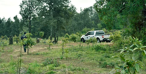 En Michoacán, dos activistas ambientales están en el sistema de protección: Segob