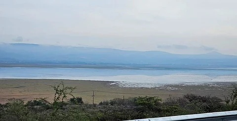 Lago de Cuitzeo amanece con agua tras lluvia, reportan