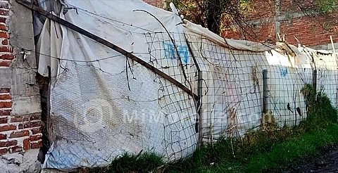 Hallan 5 cuerpos en fosa clandestina en Michoacán; no saben quiénes son