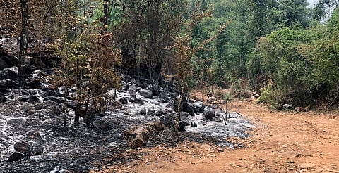 Brigadas logran contención del cerro de La Cantera