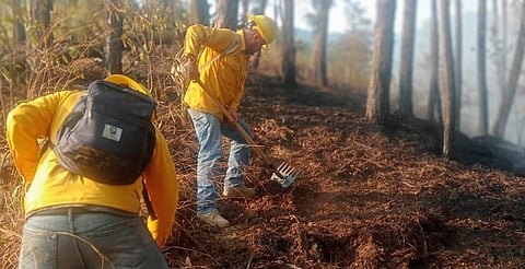 Controlan incendio forestal en el Cerro de Peña Grande de Zitácuaro