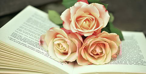 Últimos días de la convocatoria Palabras de Colibrí