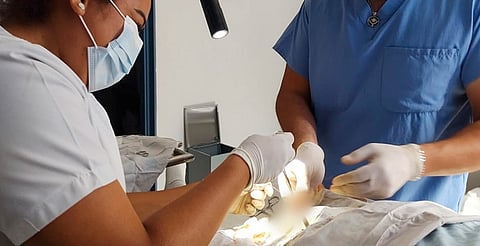 Habrá jornada de vasectomías del 17 al 30 de junio en el IMSS