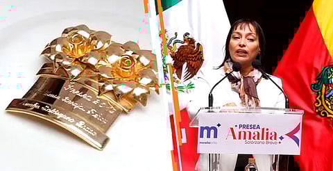 Acudir a las oficinas de IMMUJERIS, en un horario de 9:00 a 18:00 horas de lunes a viernes