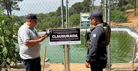 Detecta Guardián Forestal 400 ollas de agua en la cuenca del lago de Pátzcuaro
