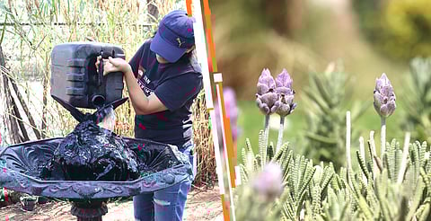 ¿Ya conoces el jardín polinizador del Zoo de Morelia? Ayuda a proteger la vida