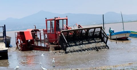Así avanzan los trabajos para rescatar el Lago de Pátzcuaro