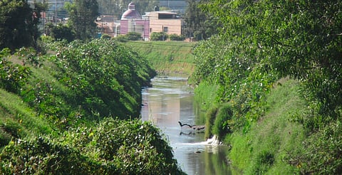Presentará asociación plan de manejo integral de Arroyo de Tierras a siguiente administración