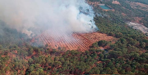 Suman más de 42 mil hectáreas afectadas por incendios forestales en Michoacán