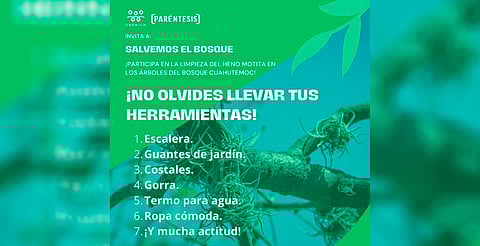 Invitan a jornada de limpieza de árboles en el Bosque Cuauhtémoc