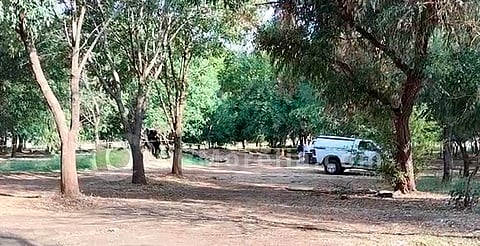 Van a hacer ejercicio y se hallan cadáver en bosque de Morelia