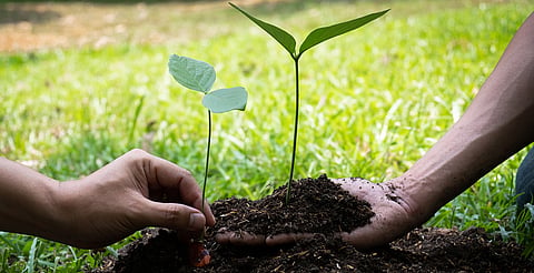 Habrá jornada para reforestar Zirahuén; así puedes participar