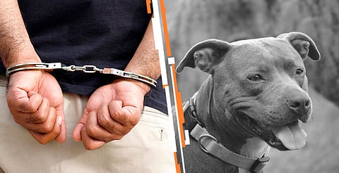 A proceso, presunto responsable de maltrato animal en Morelia