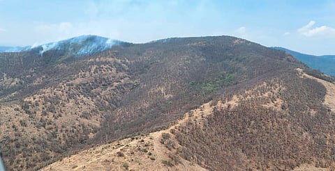 Atienden por aire y tierra incendio forestal en Cerro Verde, en Morelia