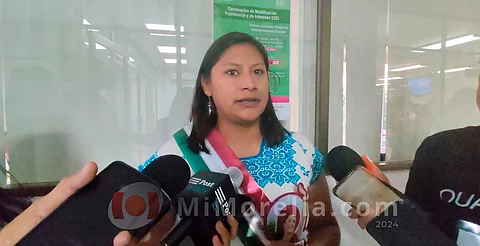 Senaduría diversa será contrapeso a simulación de candidaturas LGBT+: Celeste Ascencio