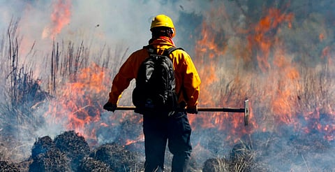 La incansable lucha contra el fuego de los brigadistas forestales