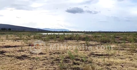 Presa de Los Ángeles, en Tres Mezquites Michoacán