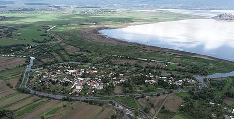 10 millones de árboles se plantarán donde hubo incendios y en Lago de Pátzcuaro: Secma
