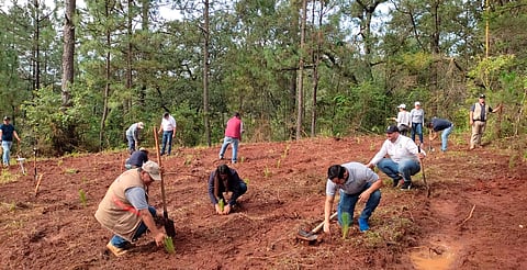 Llama Proam a denunciar actividades contra los suelos