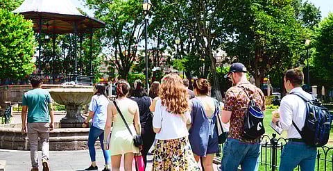 ¿Te imaginas el Centro Histórico con más árboles? Morelianos impulsan proyecto de forestación